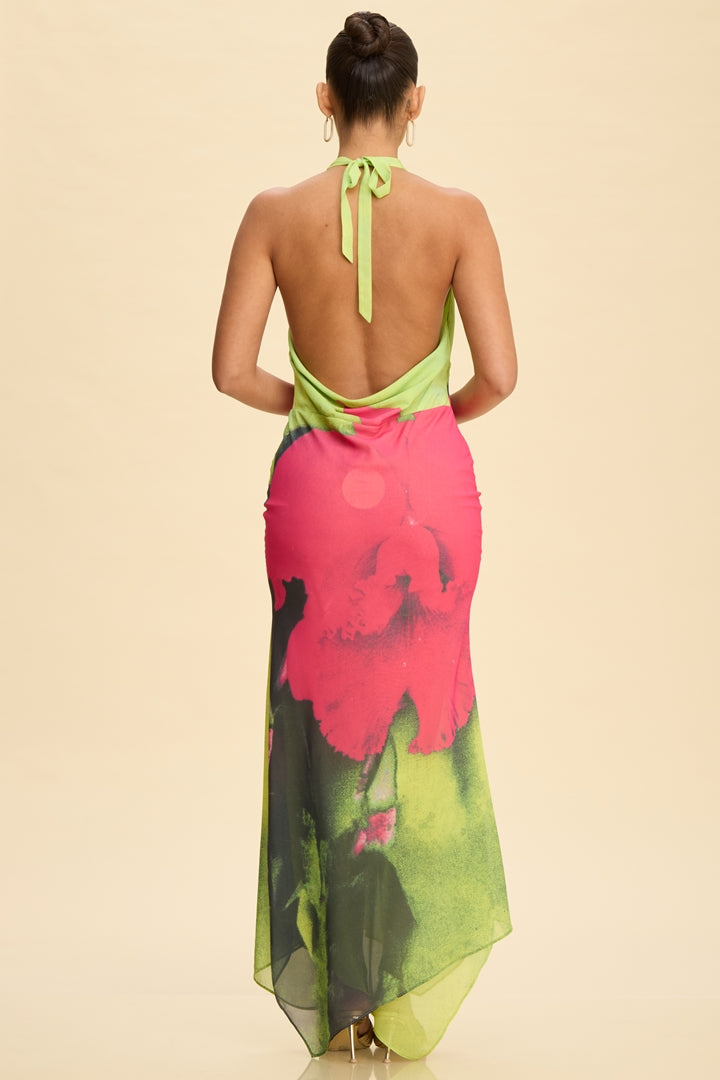 Tropical hibiscus floral print deep cowl halter open back maxi dress - back open cowl drape detail