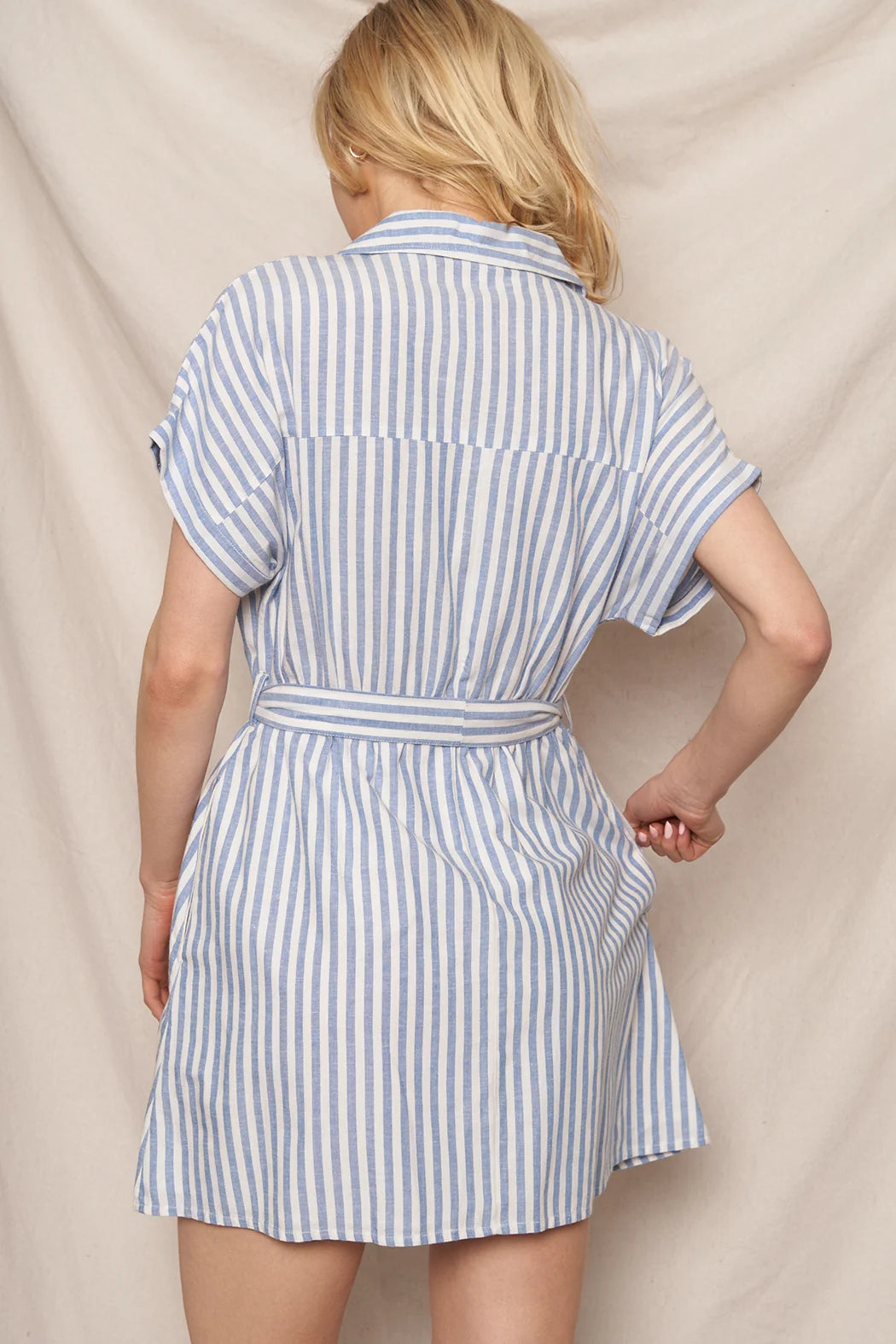 Blue white stripe belted short sleeve shirt mini dress - back view